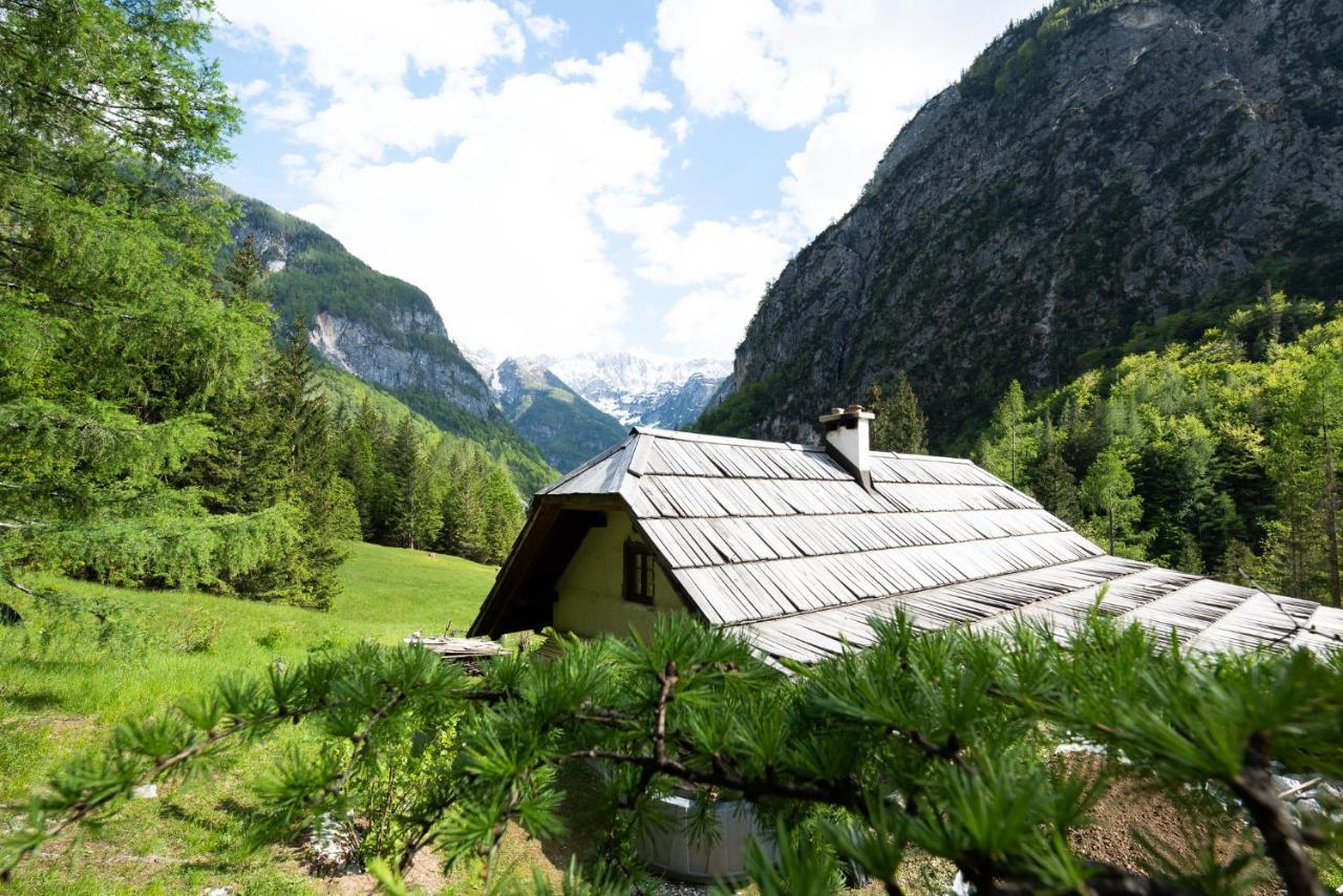Wild Flower Cottage In Trenta Exterior foto
