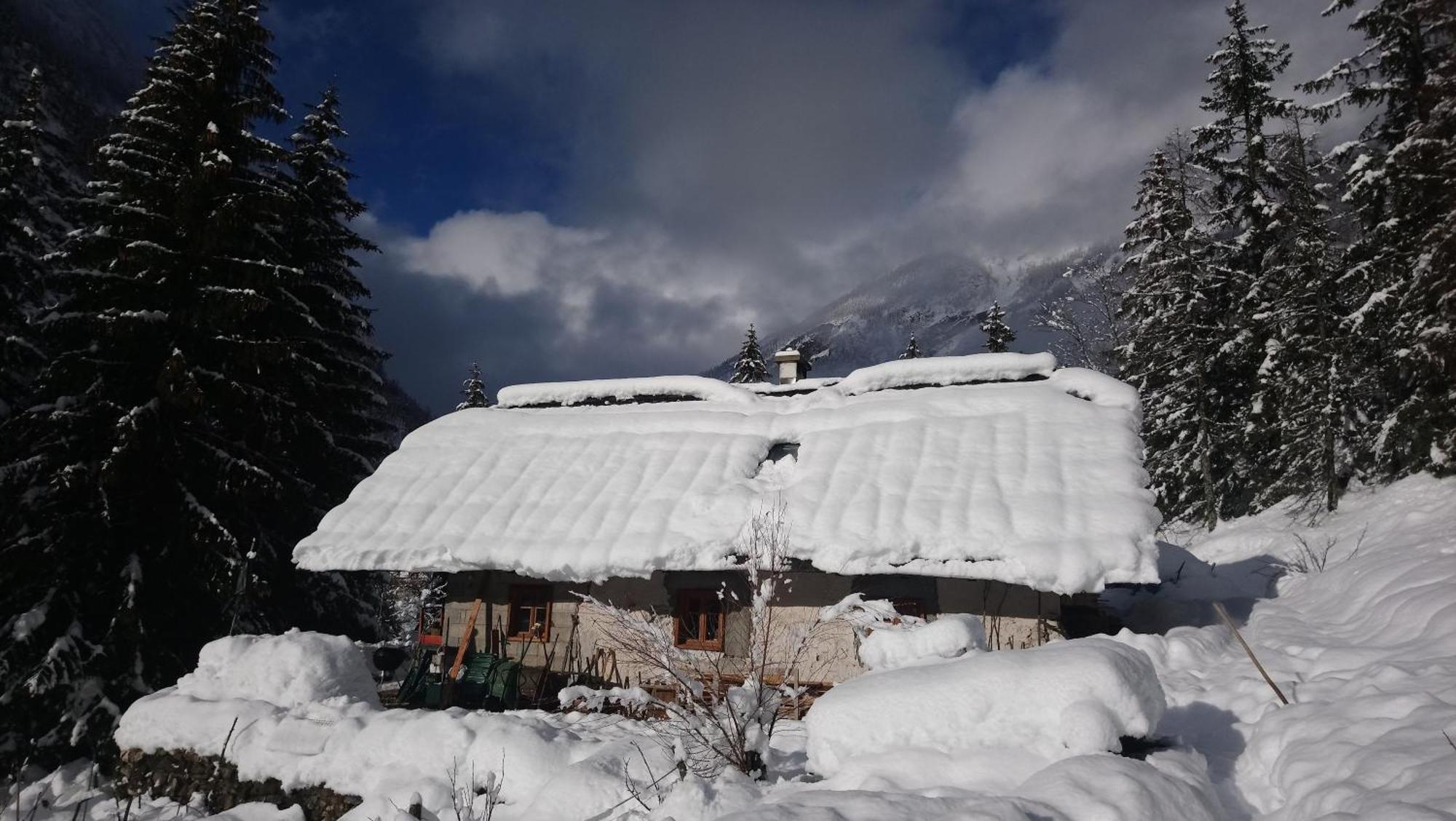 Wild Flower Cottage In Trenta Exterior foto